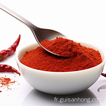 Red Chili Powder Spice disponible en gros prix